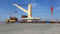 Dự án Hóa dầu Long Sơn (Tổ hợp Hóa Dầu Miền Nam Việt Nam).
